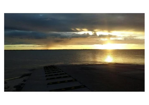 Beauty Fun Fish Sun Adventure Great Food