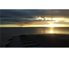 Beauty Fun Fish Sun Adventure Great Food