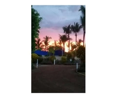 Magnificent Karumba Sunrise