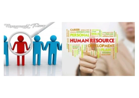 Human Resources Management Assignment Help Online