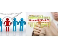 Human Resources Management Assignment Help Online