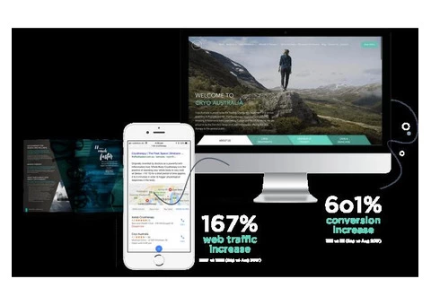 Search Engine Optimisation Expert in Brisbane