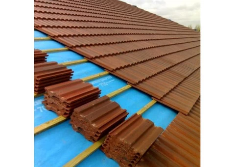 Solve Your Roofing Problems With Best Roof Restoration in Brisbane - 2/2