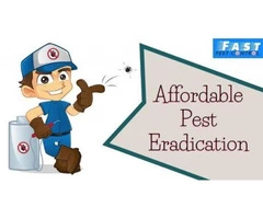 Pest Control Redland Bay