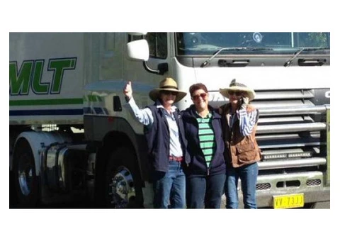 Interstate Horse Transport Services in Australia|mltequinetransport - 1/4