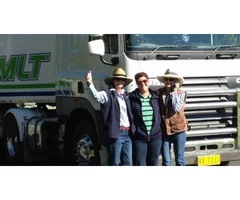 Interstate Horse Transport Services in Australia|mltequinetransport