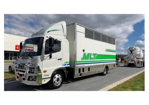 Interstate Horse Transport Services in Australia|mltequinetransport - 3/4
