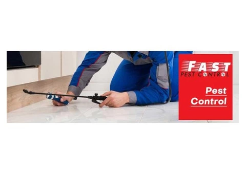 Pest Control Greenslopes - 1/4