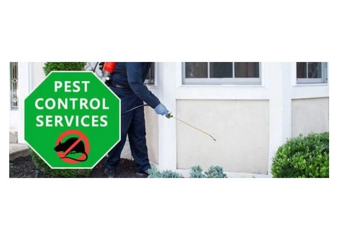 Pest Control Greenslopes - 2/4