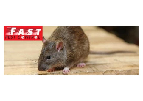 Pest Control Greenslopes - 3/4