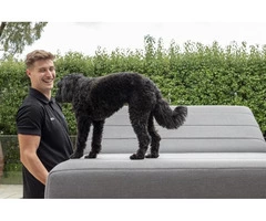 Professional Relocation Services Melbourne | House Movers Melbourne | ProMove Transport