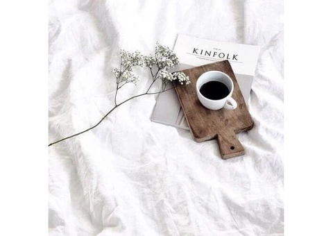 Professional Skin Care Lines