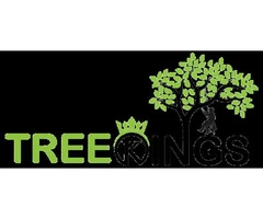Epping  Tree Stump Removal | Tree Kings