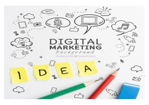 Why Startups Need A Professional Digital Marketing Agency