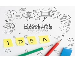 Why Startups Need A Professional Digital Marketing Agency
