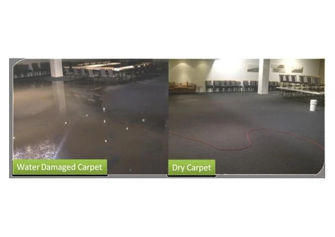 Best Water Damage Carpet Cleaning Services | Capital Restoration Cleaning