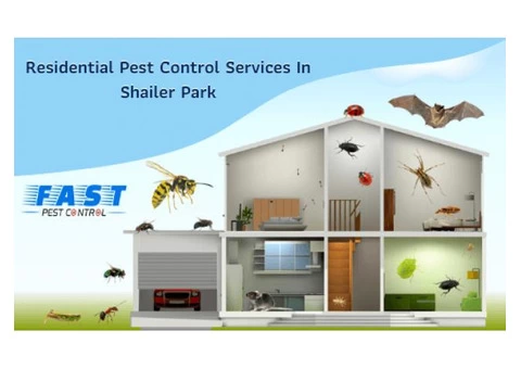 Pest Control Shailer Park - 2/3