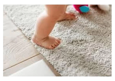Carpet Steam Cleaning Brisbane