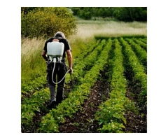 Agriculture, Fishing & Farming | Businesszon