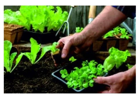 Agriculture, Fishing & Farming | Businesszon - 2/3