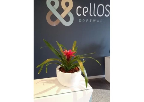 Best Indoor Plant Hire |  Inscape Indoor Plant Hire - 2/2