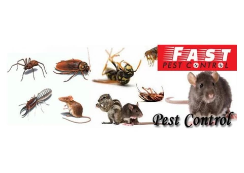 Pest Control Windsor - 2/3