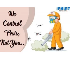 Pest Control Mermaid Waters