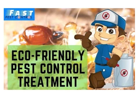 Pest Control Mermaid Waters - 2/4