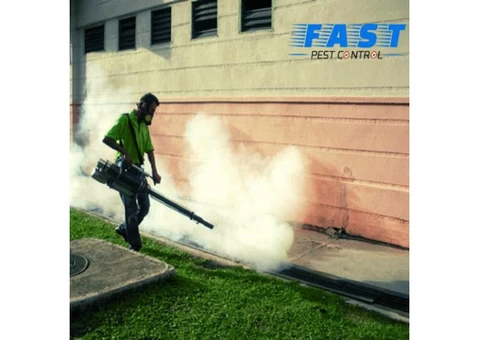 Pest Control Mermaid Waters - 3/4