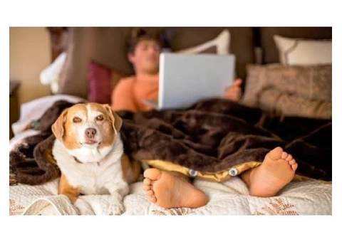 Fast Cash Loans - Moneyspot