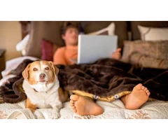 Fast Cash Loans - Moneyspot