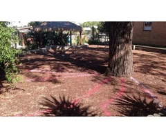 The Adelaide Tree Surgery