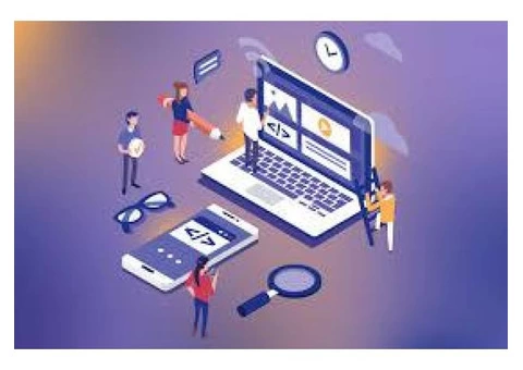 Website Development & Designing Services in Canberra | Falcon Web Solutions