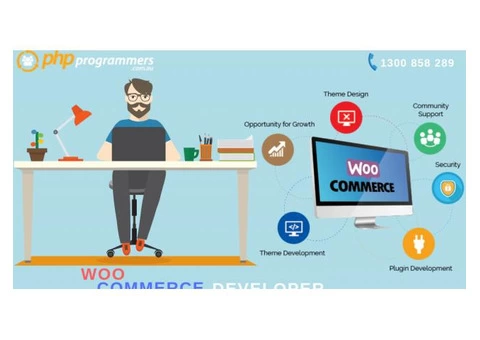 Avail Expert Woocommerce Development Services