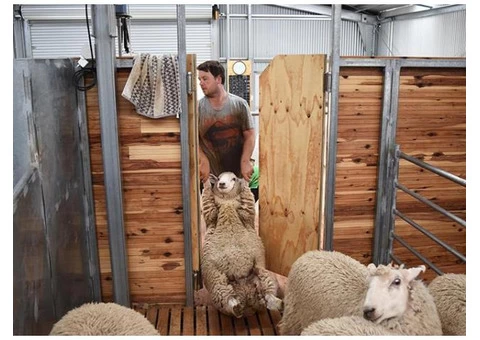 ProWay Livestock Handling Equipment