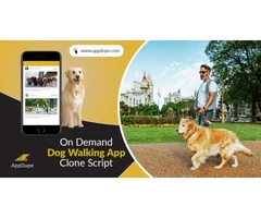 Launch an online marketplace for dog walking services