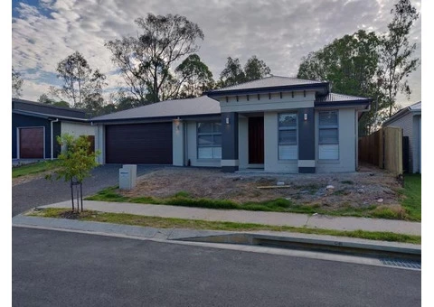 Full backyard makeover Services and Projects - 1/3