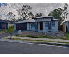 Full backyard makeover Services and Projects