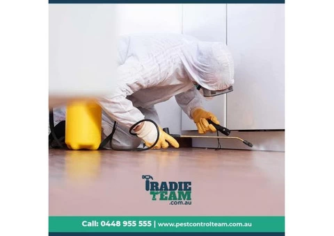 Pest Control Services in Balwyn by Team of Experts