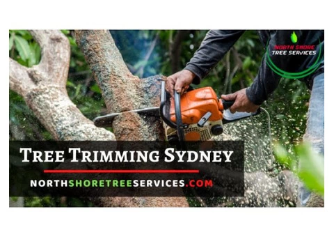 Call the Professionals for Tree Trimming Sydney Services