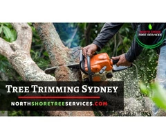 Call the Professionals for Tree Trimming Sydney Services