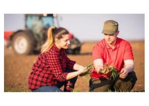 Apprenticeships and Traineeships in Ballarat - 3/8