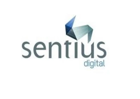 Web Marketing Planning Consultant - 1/7