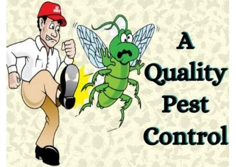 Pest Control Toowong - 1/4
