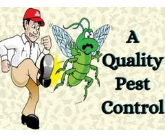 Pest Control Toowong
