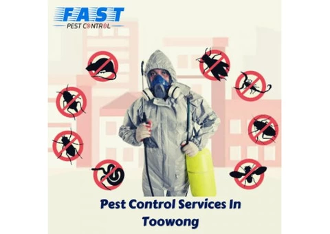 Pest Control Toowong - 2/4