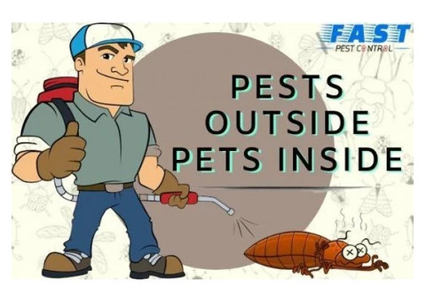 Pest Control Toowong - 4/4