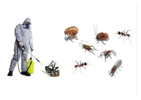 Bug-Free Pest Control Sydney With Warranty - 1/3