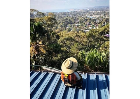 Gutter Cleaners Sydney - Sydney Gutter Clean - 2/6