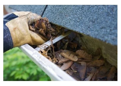 Gutter Cleaners Sydney - Sydney Gutter Clean - 3/6